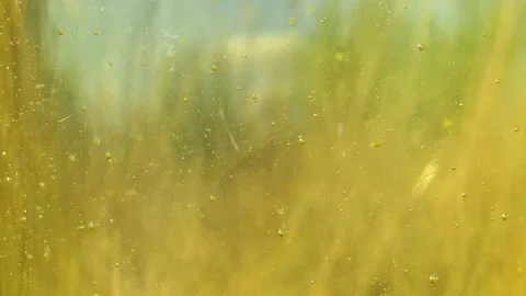 A transparent liquid with bubbles flows down the wall of the glass beautiful Stock Footage 137434956