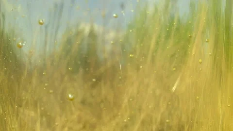 A transparent liquid flows down the glass beautifully Stock Footage 137434946