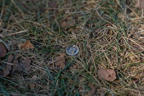 A transparent little button got lost in the grass Stock Photos