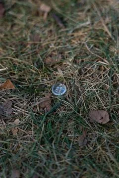 A transparent little button got lost in the grass Stock Photos