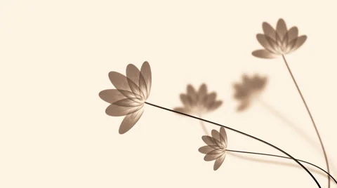 Transparent lotus Video stock 49976013