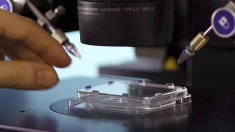 Transparent microscopic plate being placed in lab for examination under a Stock Footage 96718178