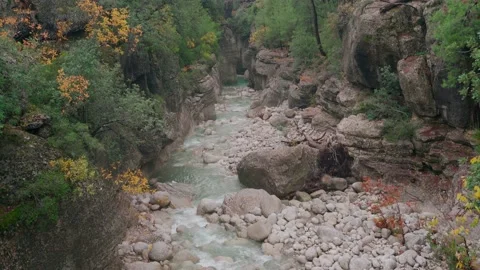 Transparent mountain stream in a gorge in the mountains in autumn.  Stock Footage 169032100