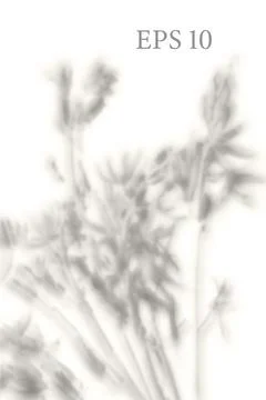 Transparent natural plant shadow. Light effect overlay. Mesh Stock Illustration