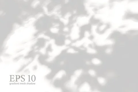 Transparent natural plant shadow. Light effect overlay. Mesh Stock Illustration