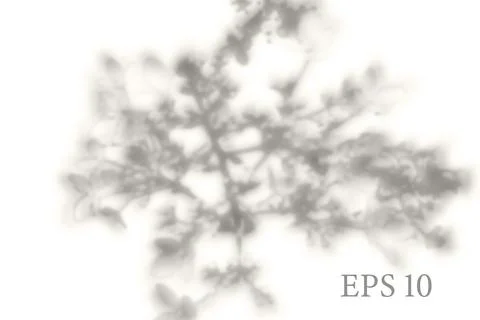 Transparent natural sakura tree branch shadow. Light effect Stock Illustration