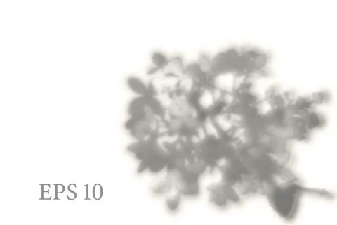 Transparent natural sakura tree branch shadow. Light effect Stock Illustration