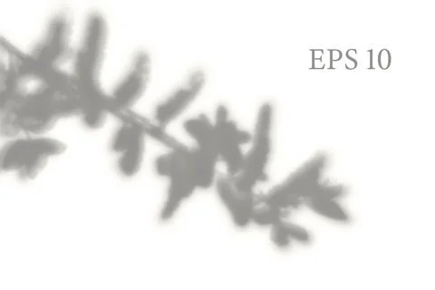 Transparent natural tree branch shadow. Light effect overlay Stock Illustration