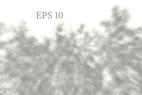 Transparent natural tree branches shadow. Light effect Stock Illustration