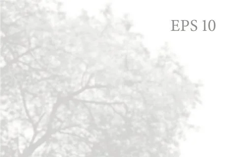 Transparent natural tree branches shadow. Light effect Stock Illustration