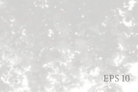 Transparent natural tree branches shadow. Light effect 스톡 일러스트