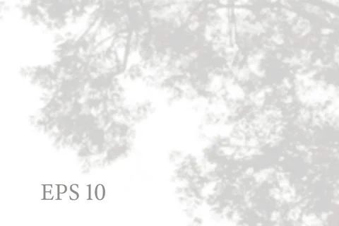 Transparent natural tree branches shadow. Light effect Stock Illustration