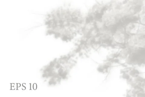 Transparent natural tree branches shadow. Light effect Stock Illustration