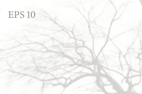 Transparent natural tree branches shadow. Light effect Stock-Illustration