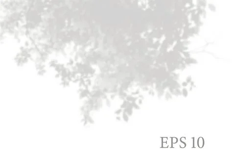 Transparent natural tree branches shadow. Light effect Stock Illustration