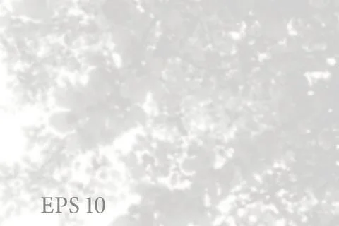 Transparent natural tree branches shadow. Light effect Stock Illustration