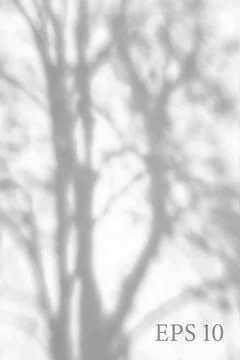 Transparent natural tree shadow. Light effect overlay. Mesh Stock Illustration