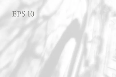 Transparent natural tree shadow. Light effect overlay. Mesh Stock Illustration