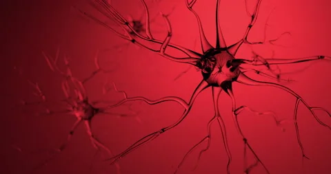 Transparent nerve moving made in CG Stock Footage 136499116