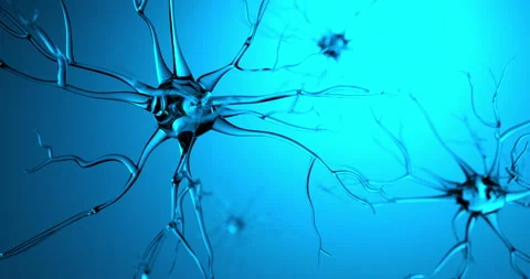 Transparent nerve moving made in CG Stock Footage 136499379