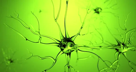 Transparent nerve moving made in CG Stock Footage 136499529