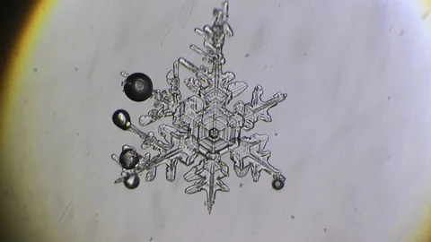 Transparent openwork snowflake melts Stock-Footage 88390793
