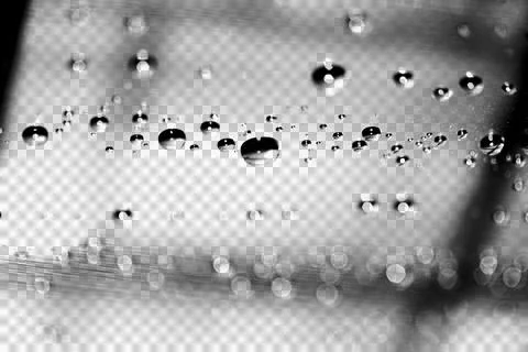 Transparent overlay abstract floating bubbles water droplets condensation r.. Foto stock