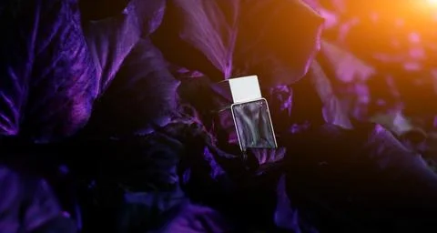 Transparent perfume bottle Photos