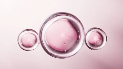 Transparent pink liquid bubbles background, 3d rendering. Stock Footage 336826173