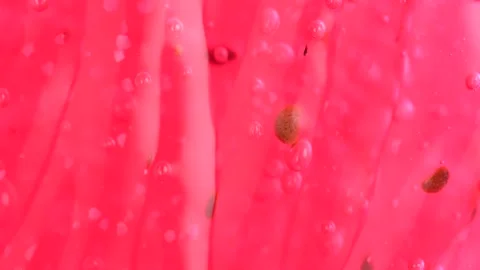 Transparent pink liquid gel background, cosmetics product with bubbles text.. Stock Footage 255599095