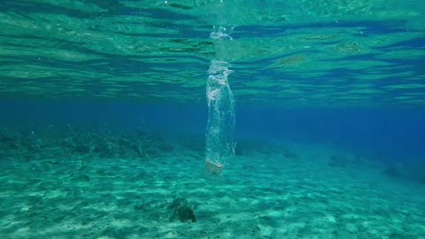 Transparent plastic bag drifting below water surface in shallow water in sunrays Stock Footage 318045402