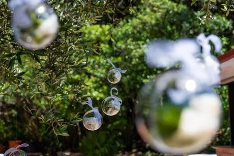 Transparent plastic balls Stock Photos