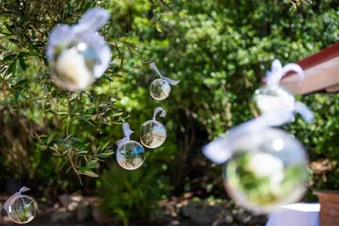 Transparent plastic balls Stock Photos