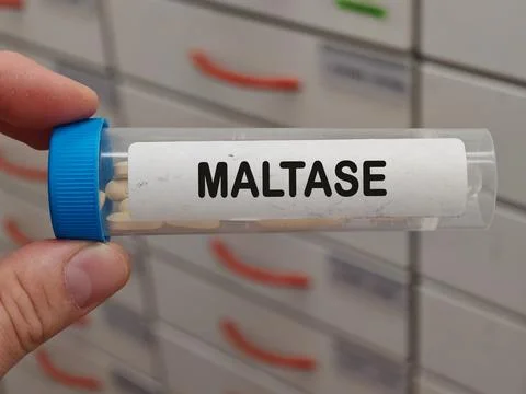 Transparent plastic box of MALTASE digestive enzyme or bile supplement for Фото