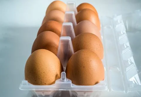 In a transparent plastic container lay ten eggs. The tank cover is opened. Stock Photos