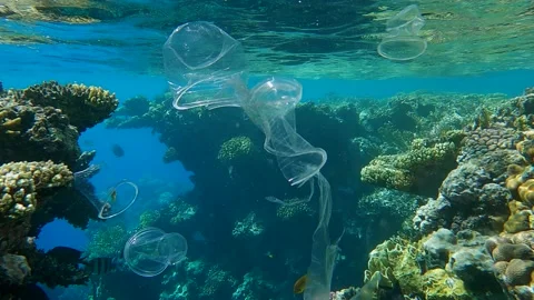 Transparent plastic cup, bag and other plastic debris slowly drifts under water Stock Footage 142677101