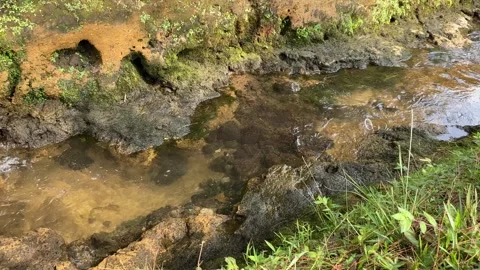 A transparent plastic cup float on river stream Stock Footage 295493170