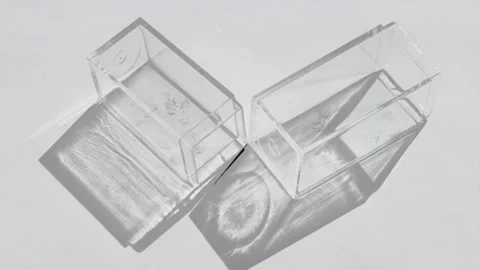 Transparent Prism Cuboid Refractions Stock Footage 305003689