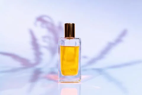 Transparent rectangular bottle of golden perfume on white background with sun Stock Photos
