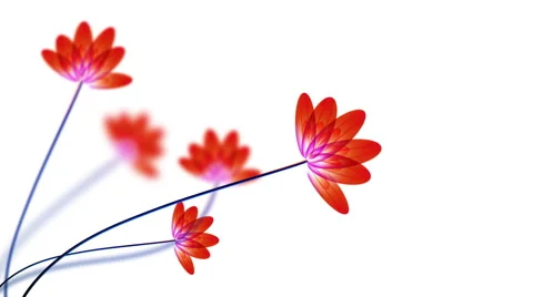 Transparent red flowers Stock Footage 49976014
