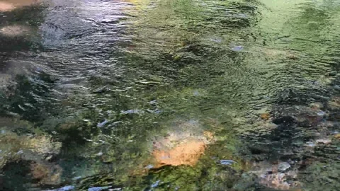 Transparent river flow, stream in the forest, abstract Stock Footage 329213707