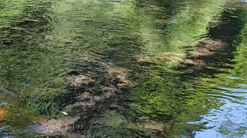 Transparent river flow, stream in the forest, abstract Stock Footage 329213774