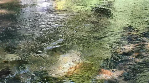 Transparent river flow, stream in the forest, abstract Video stock 329213827