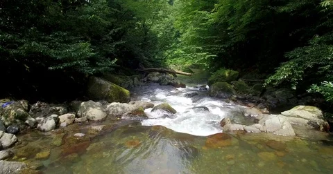 Transparent river flows through rocks among  trees Vidéo 83077707