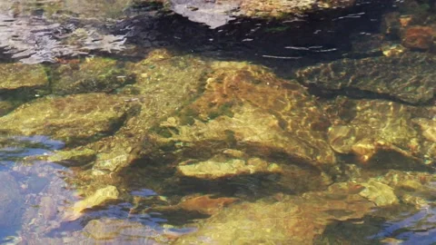 A transparent river. Stock Footage 131402707