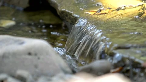 Transparent river with stones in summer Stock Footage 221274675