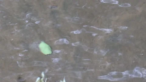 Transparent river water flows in a stream Stock Footage 132506095