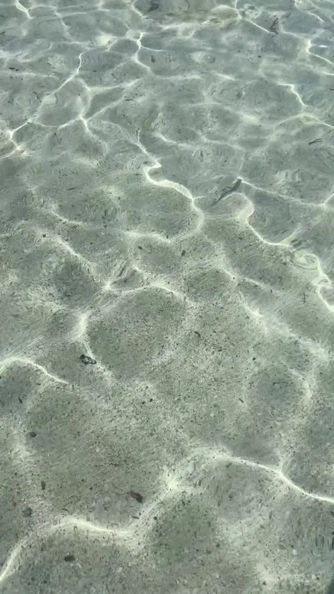 Transparent Sea. Clean beach. Vertical video Stock Footage 287316588