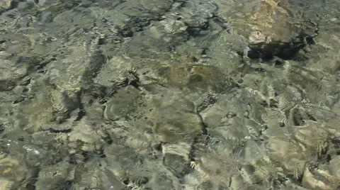 Transparent sea water Stock Footage 40951329