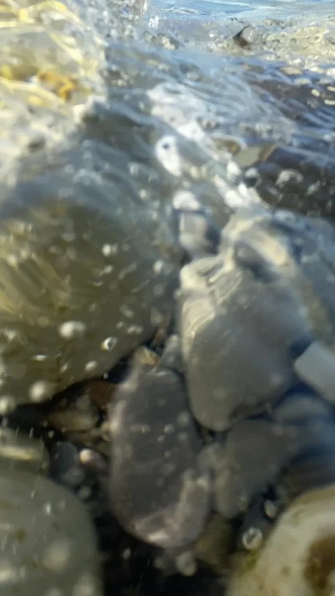 Transparent sea waves running onto beach stones, water flowing over rocks Stock Footage 283485687